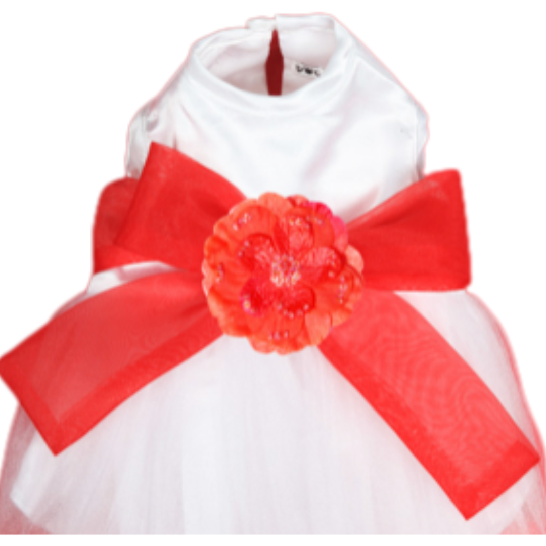 Madeleine Dog Dress with flower