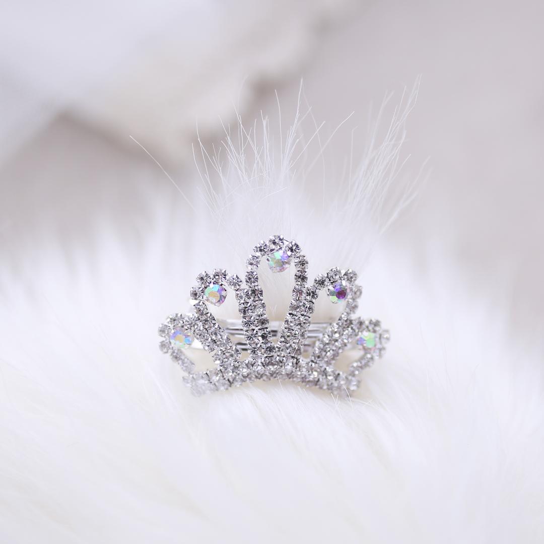 Crystal Dog Barrette Collection Choose 3