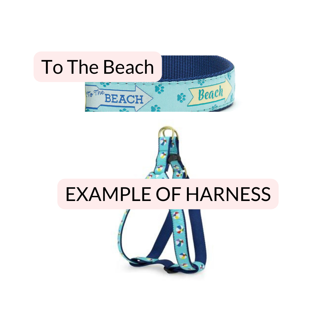 To The Beach Harness