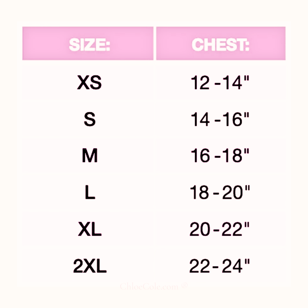 Small Dog Vest Harness