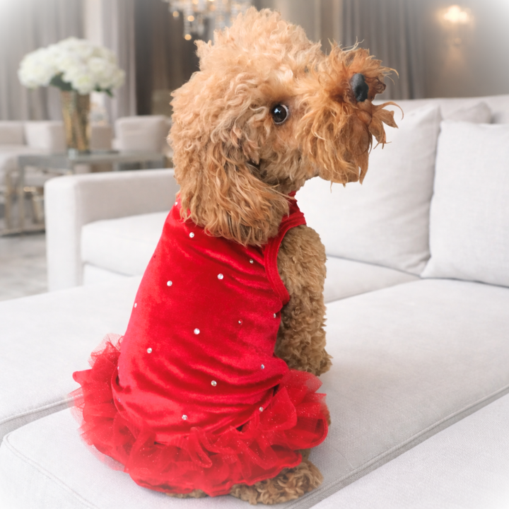 Velvet Rhinestone Tutu Dress (Black or Red)