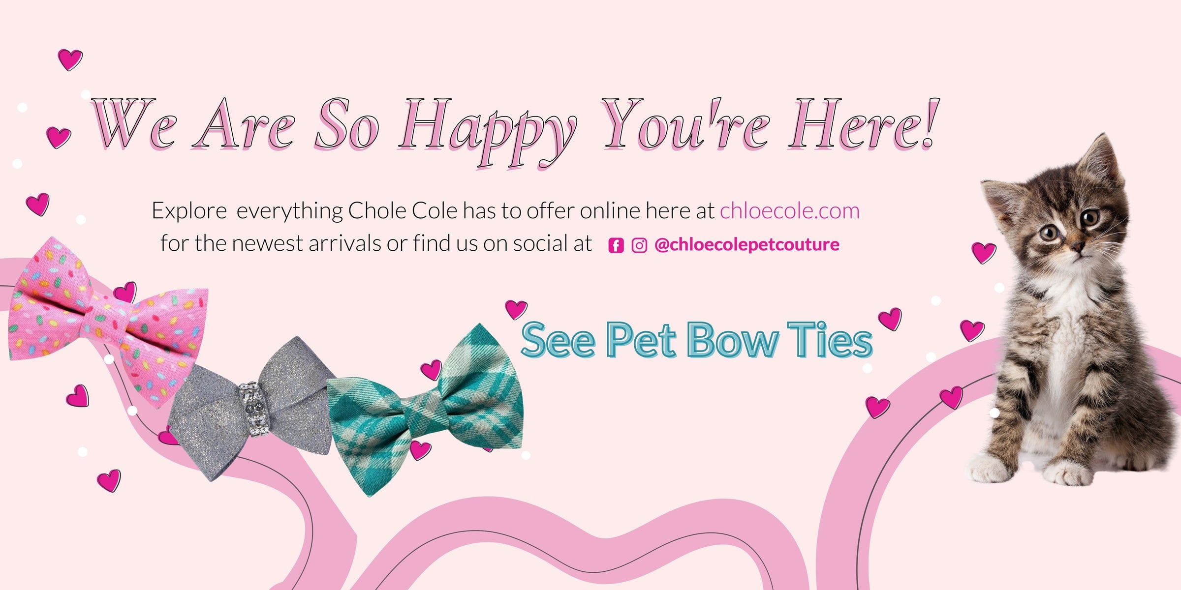 Chloe Cole Pet Couture  Luxury Pet Boutique for Dogs and Cats
