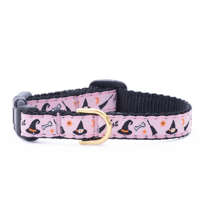 Witchy Small Breed Dog Collar (Optional Lead or Harness)