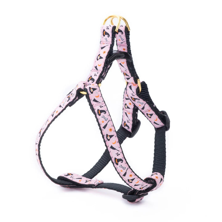 Witchy Dog Harness (opt Lead)