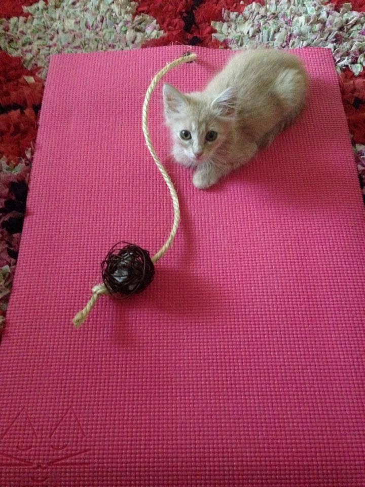Pink Yoga Mat