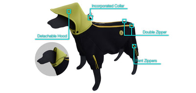 Jazzy Dog Body Suit