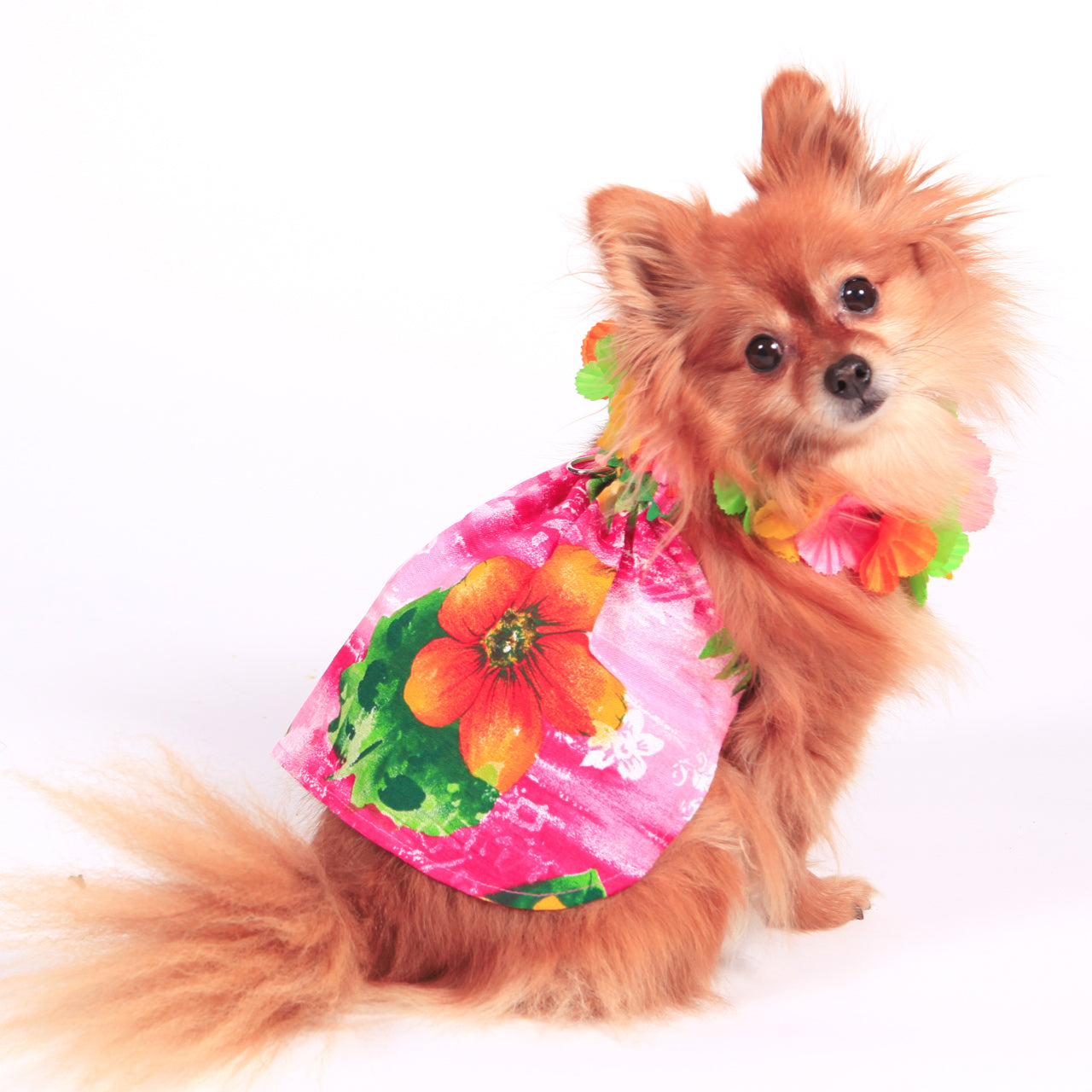 Lahaina Hawaiian Dress