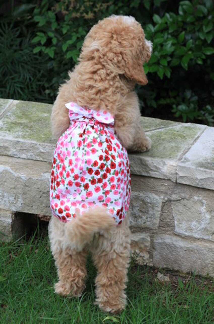 Emma Pink & Red Flower Dress