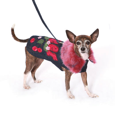 The Ava Denim with Silk Applique Dog Coat