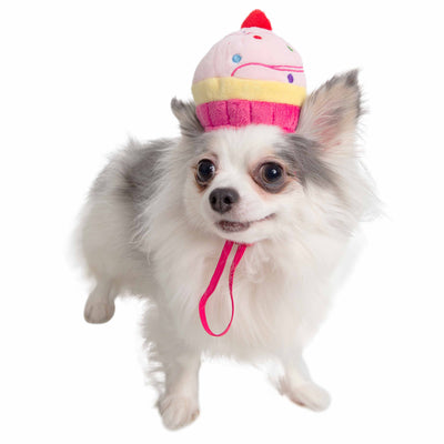 Cupcake Hat for Small or medium Dogs