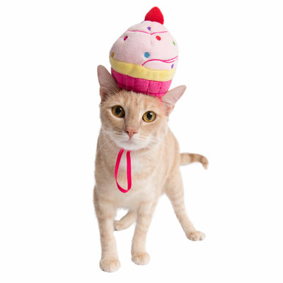 Cupcake Hat for Cats