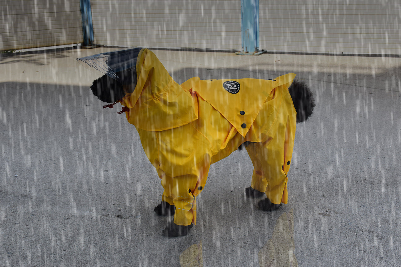 Rainy Dog Body Suit