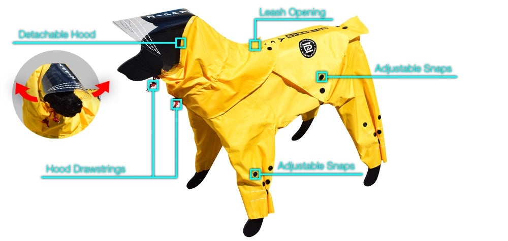 Rainy Dog Body Suit