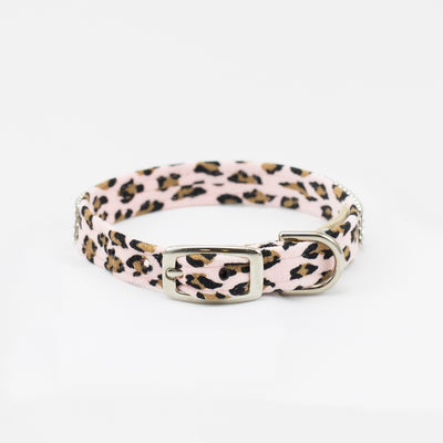 Cheetah Couture 2 Row Giltmore Collar