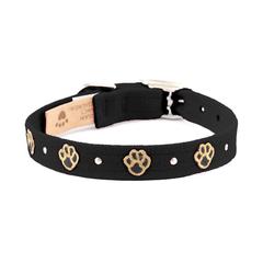 Embroidered Paws Collar