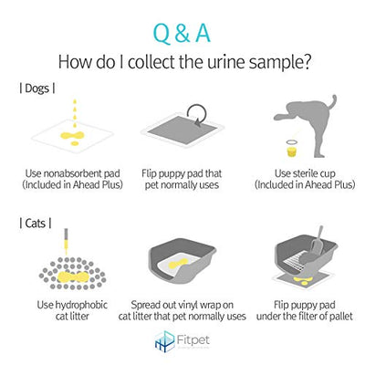 Ahead +  Smartphone Urinalysis Kit for Dogs with 2 tests Ships Free