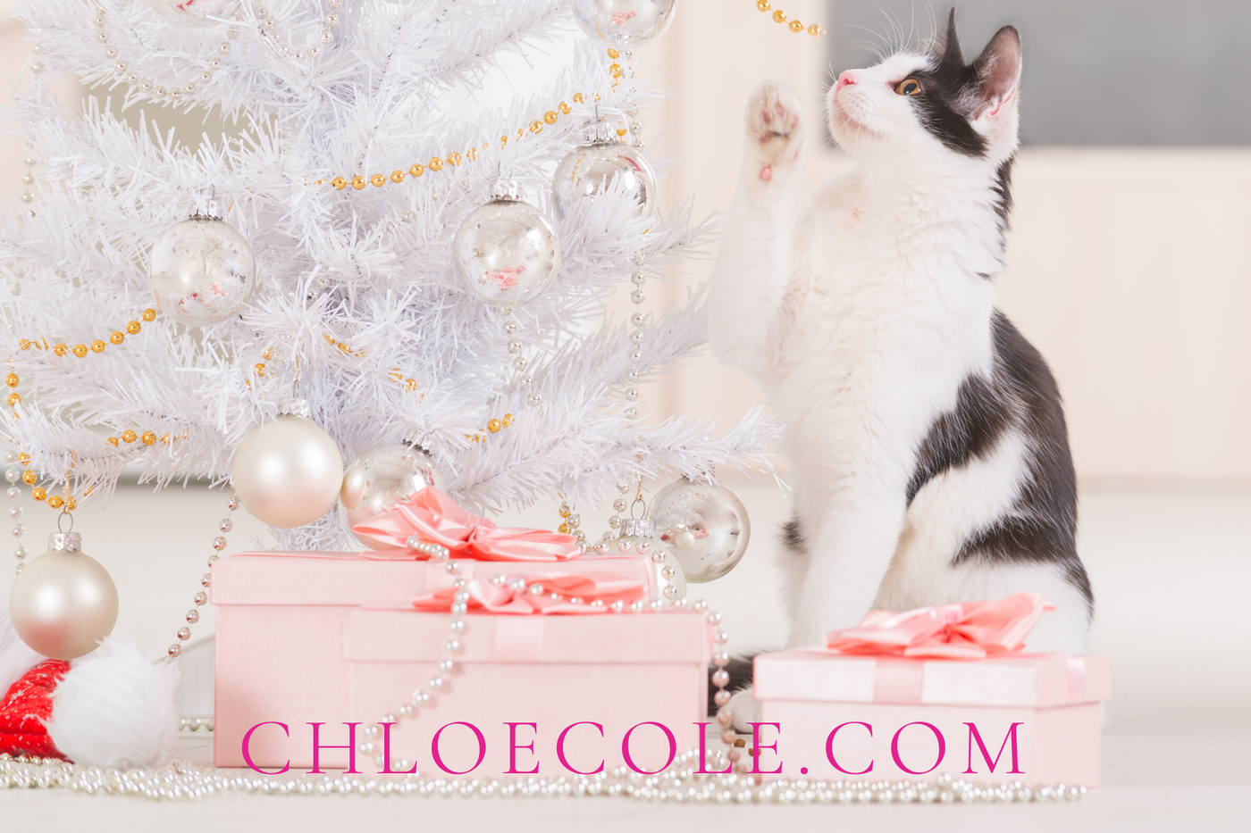 Gift Card - Pink Christmas Cat