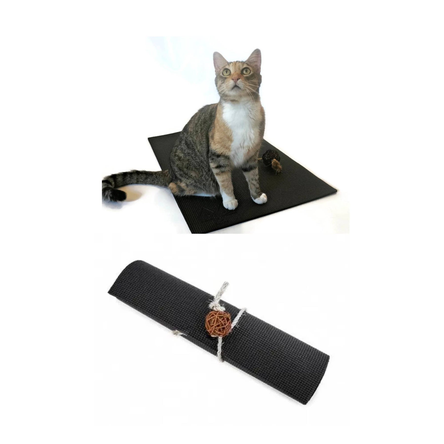 Pink Cat 3 Toy Gift Set + Cat Yoga Mat – Chloe Cole Pet Couture