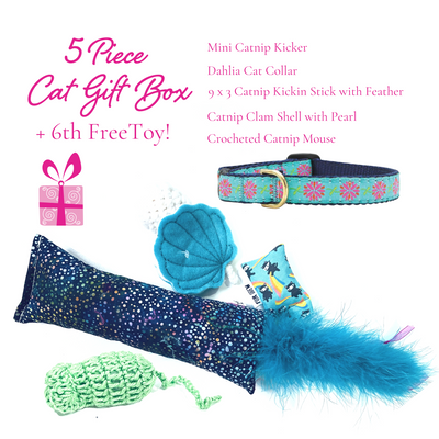 5 Piece Cat Box + Free Toy & Cat Collar (Choose Color)