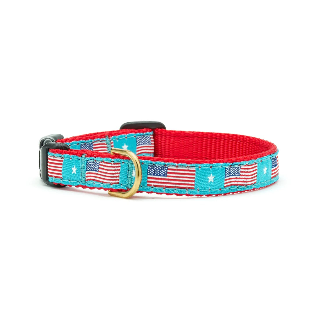 Flag Day Small Breed Collar