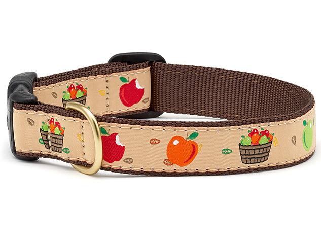 Apple Of My eye Dog Collar