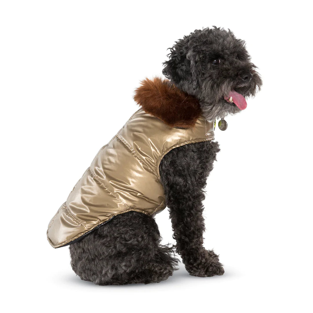 Aspen Silver Puffer Dog Coat