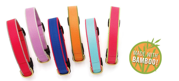 Tan and Royal Blue Dog Collar