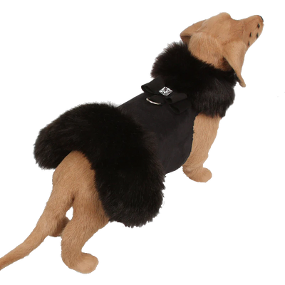 Big Bow Black Dog Coat +Black Faux Foxy Collar