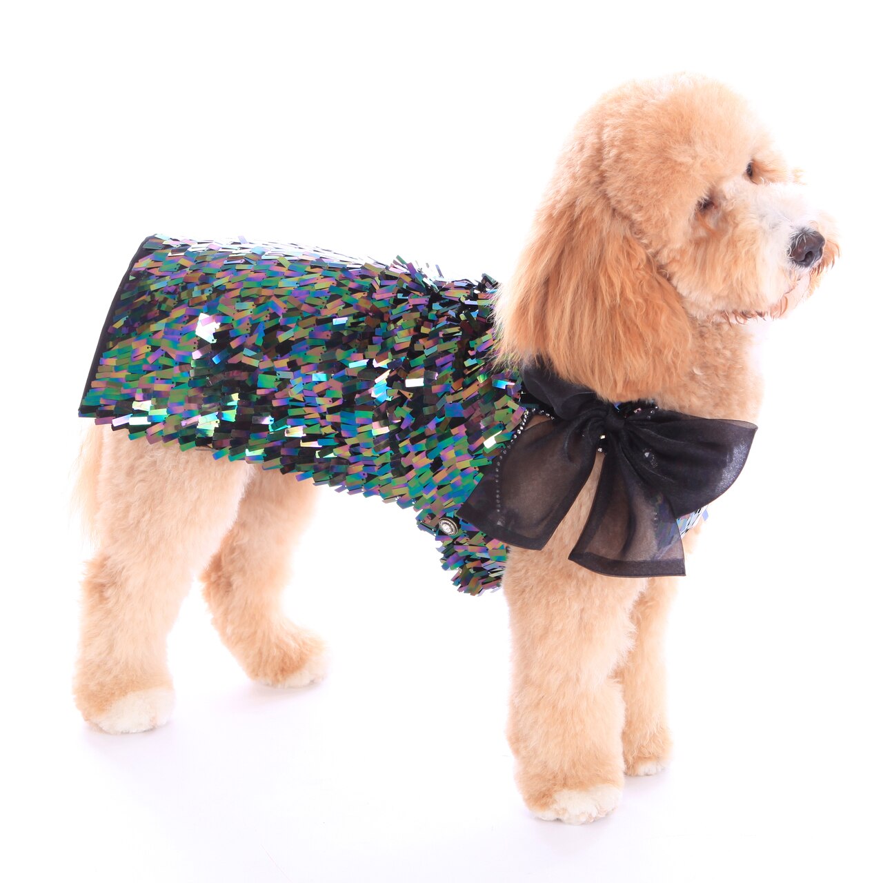 Black Iridescent Sequin Party Dress - Size XL (Custom Order Available)