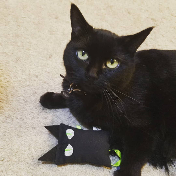 Black cat shaped catnip toy with embroidered eyes and feather | Chloe Cole Pet Couture