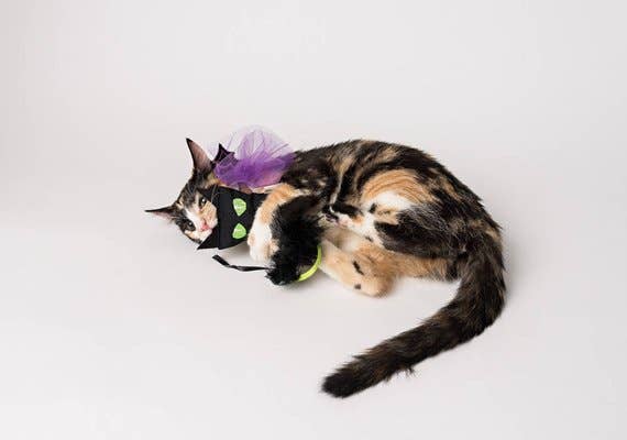 Black cat shaped catnip toy wiith embroidered eyes and feather | Chloe Cole Pet Couture