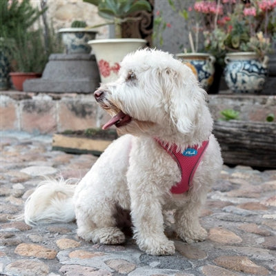 Bubblegum Pink Plush Step In Vest Air-Mesh Harness