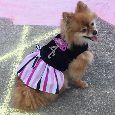 Camilla Pink and Black Striped Skirt