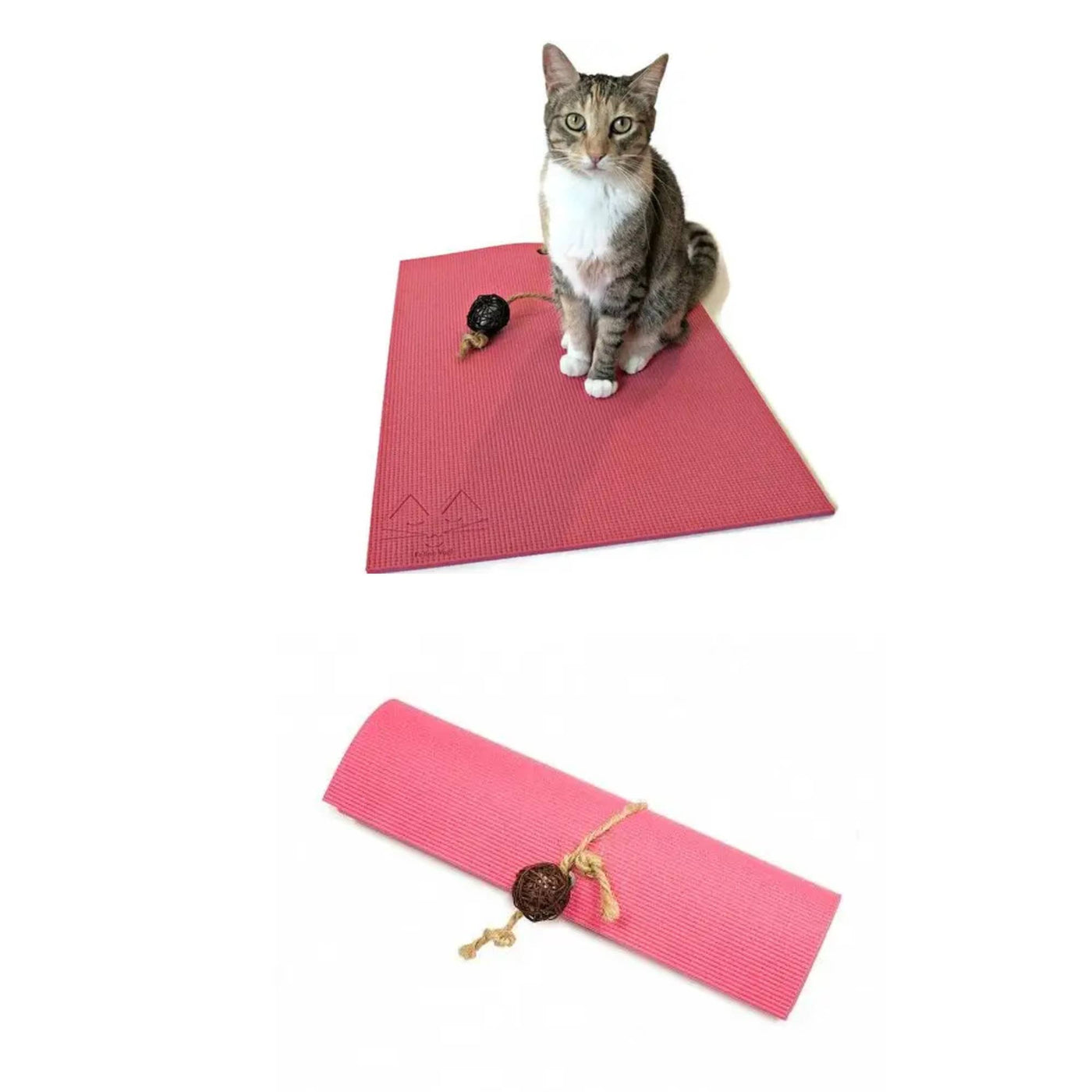 Pink Cat 3 Toy Gift Set + Cat Yoga Mat