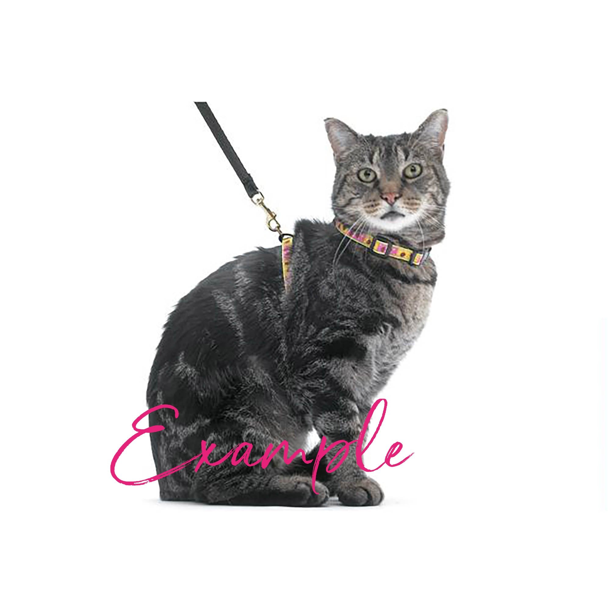 Sushi cat harness cheap