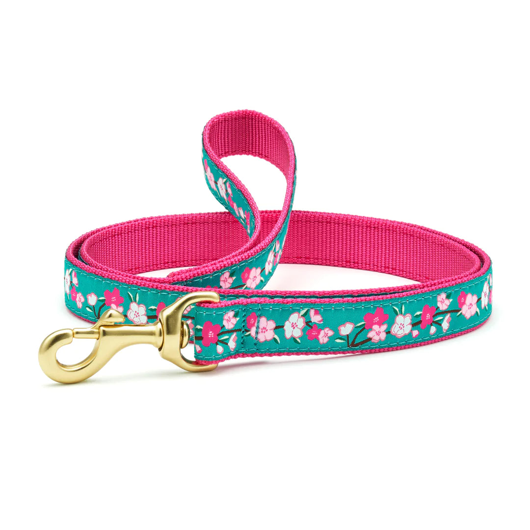 Cherry Blossoms Dog Collar