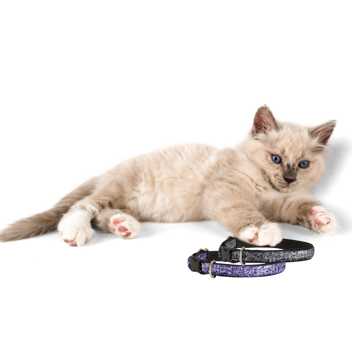 Smoke Glam Cat Collar