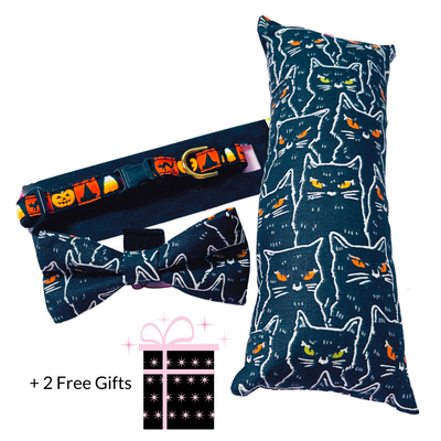 Halloween Cat Box with Bow Tie, Kicker, Collar and bonus toys