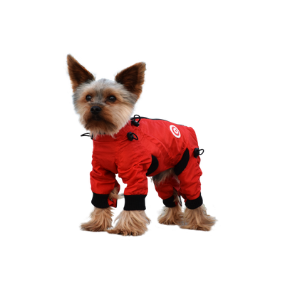 Classy Dog Body Suit