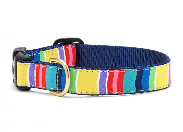 Colorful Stripe Dog Collar
