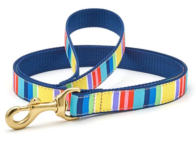 Colorful Stripe Dog Leash