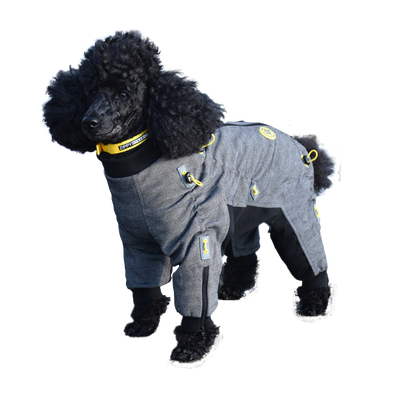 Cozy Dog Body Suit