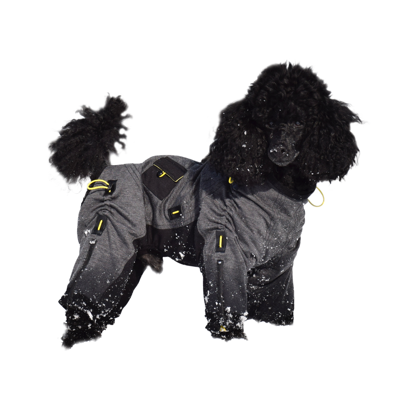 Cozy Dog Body Suit