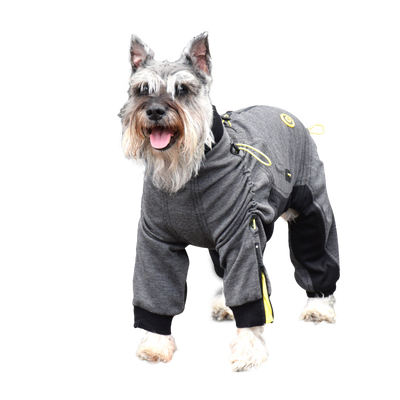Cozy Dog Body Suit