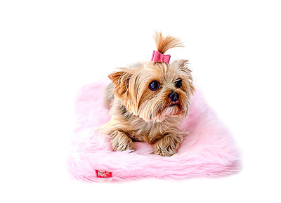 Pink Shag All Plush Crate Liner