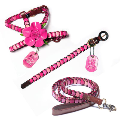 Shades of Pink Leather Dog Harness
