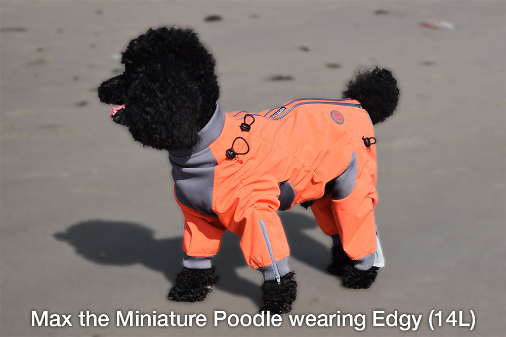 Zesty Dog Body Suit