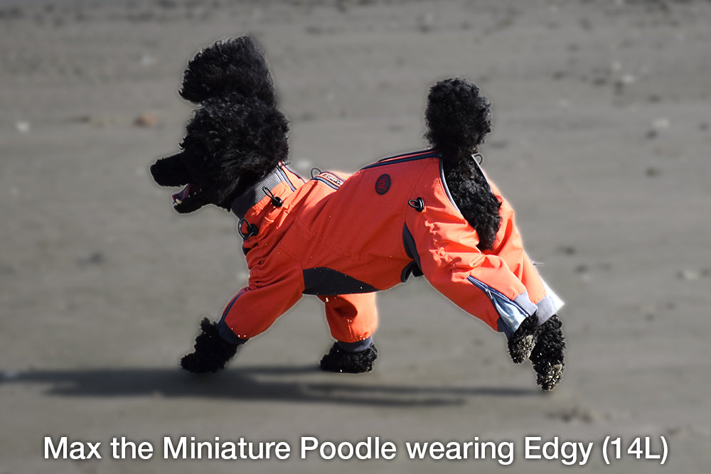 Zesty Dog Body Suit