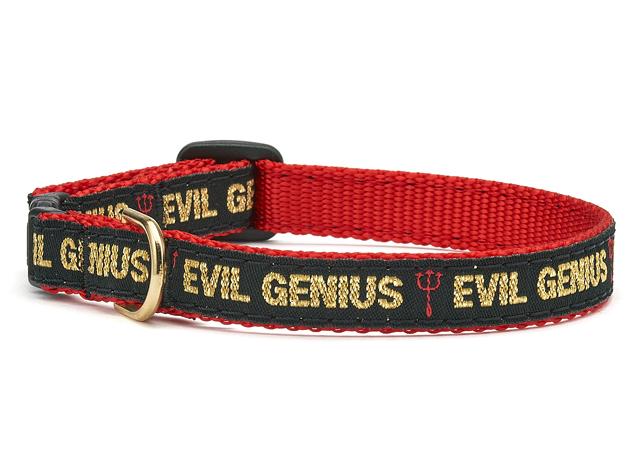 Evil Genius Cat Collar