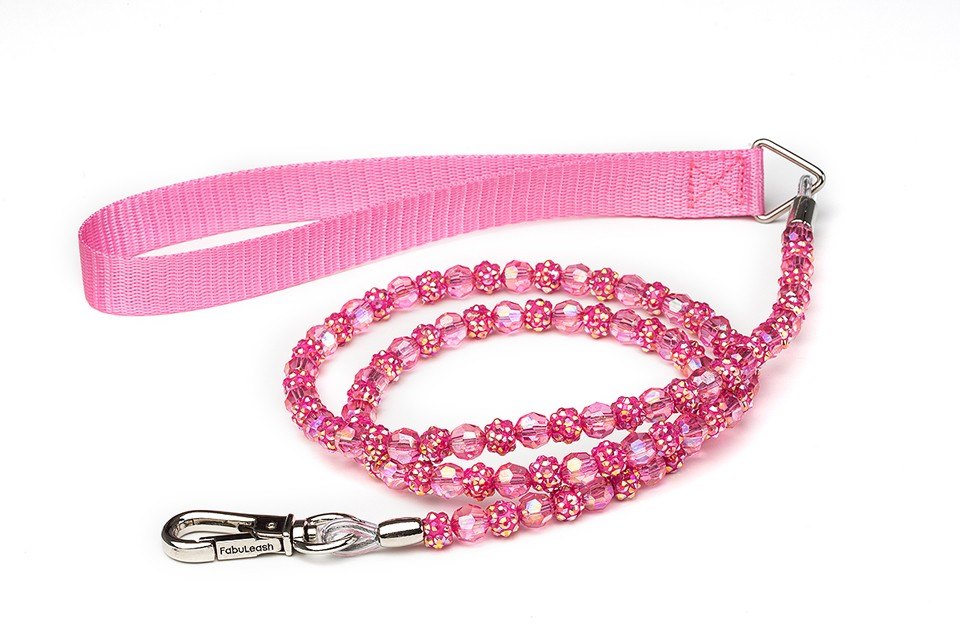 Fuchsia Fireball Dog Leash